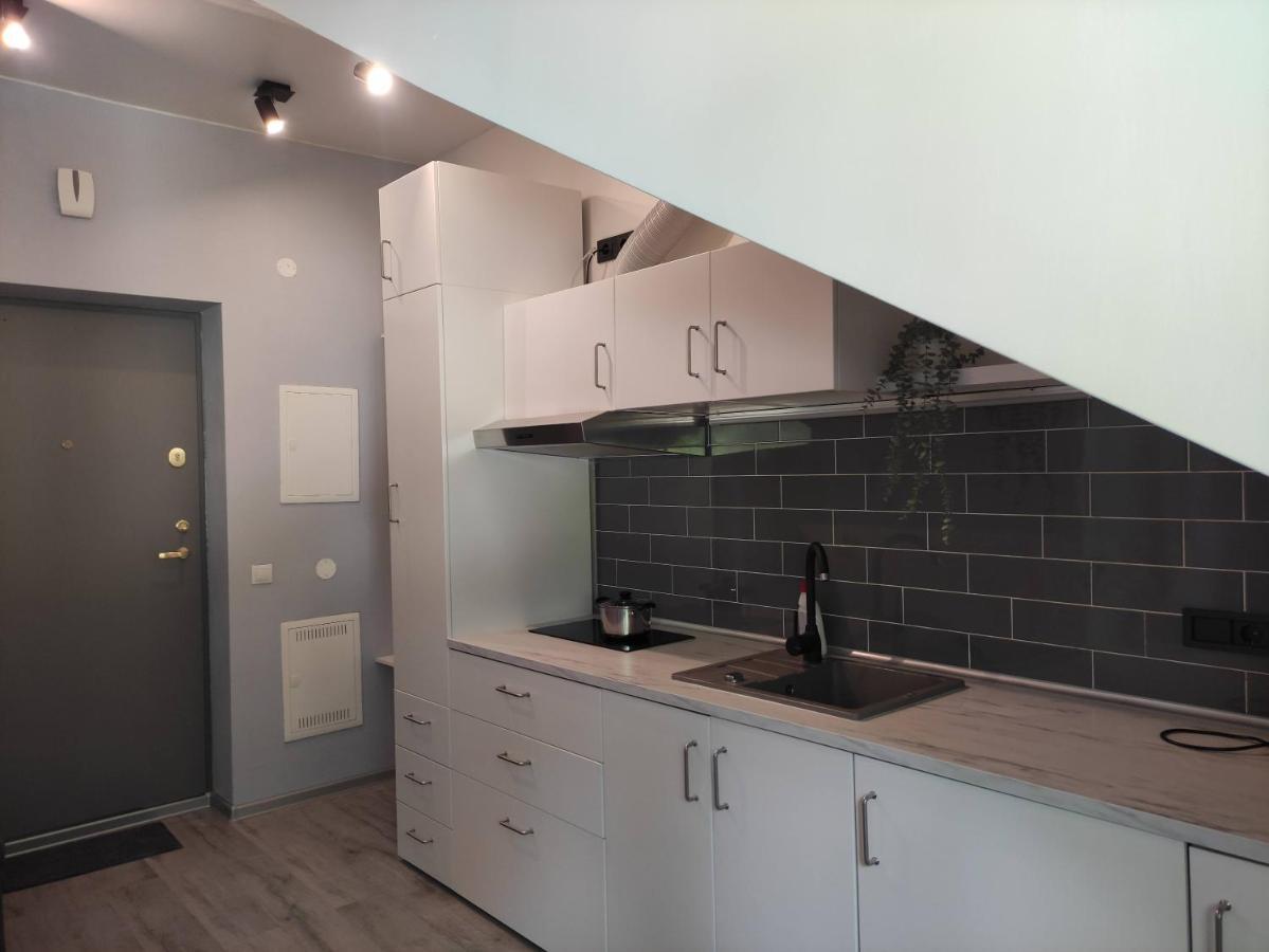 Cosy Apartments In Vilnius Center Экстерьер фото